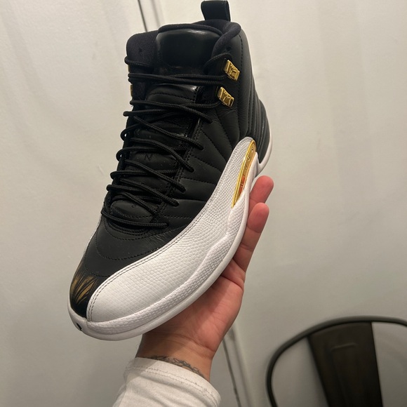 Air Jordan 12 wings play off 12 extremely rare main image 7
